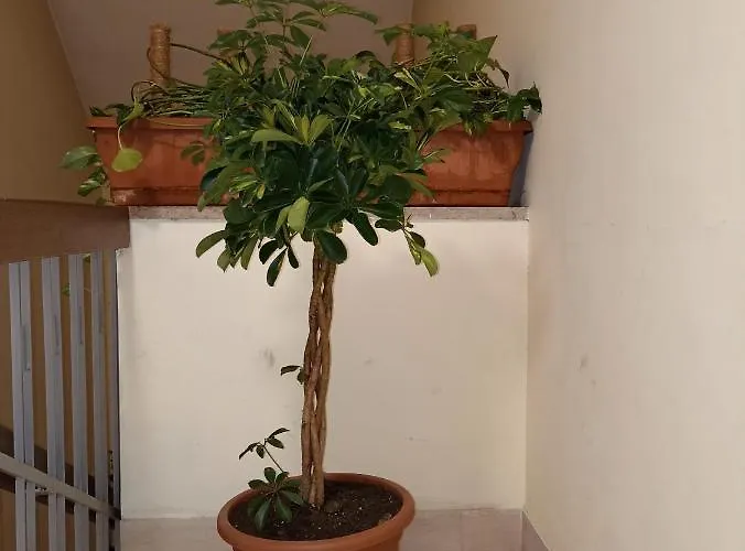 Lägenhet A&c Talenti Diamond *